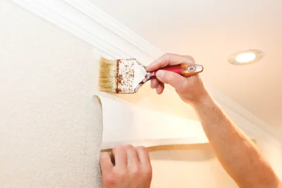 Pose de papier peint à Larreule — revêtements muraux et toiles de verre